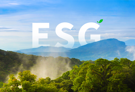 Ninestar、「AA」ESG格付けを獲得